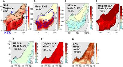 Intra-Annual Sea Level Fluctuations and Variability of Mesoscale Processes in the Northern Japan/East Sea From Satellite Altimetry Data